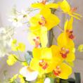 光触媒アートフラワー・黄色オーキッドアレンジ(造花)H47cm横幅45cm