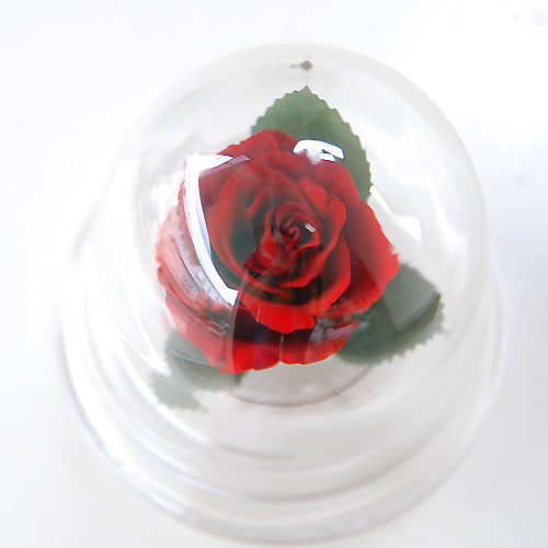 花の保存・花の高さ直系５cm内　1花用プラミニドーム