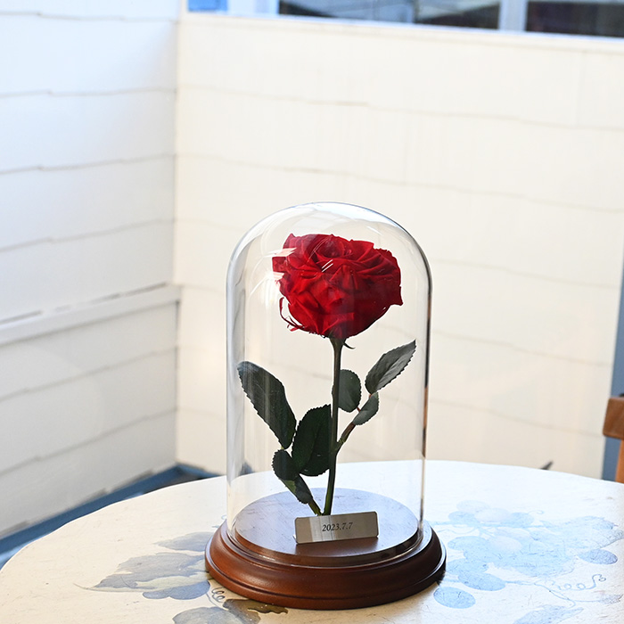 花の保存・美女と野獣シンプル（茎を曲げないデザイン）