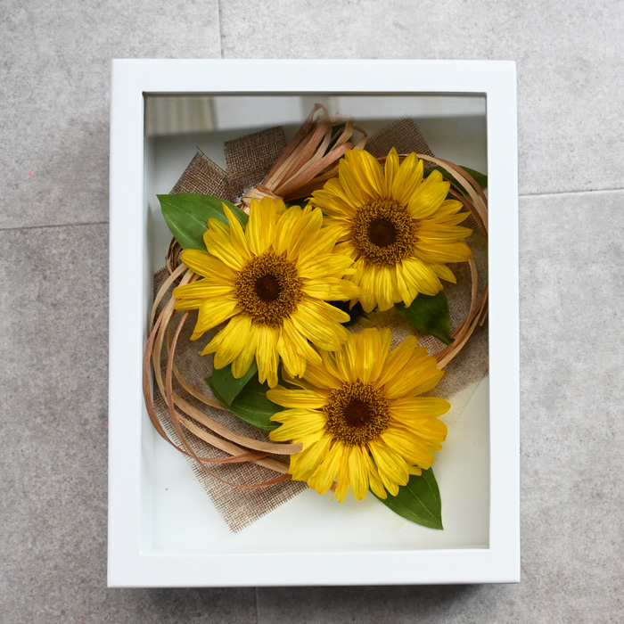 花の保存・平らな花におすすめ数花デザイン(主にひまわりガーベラ専用)