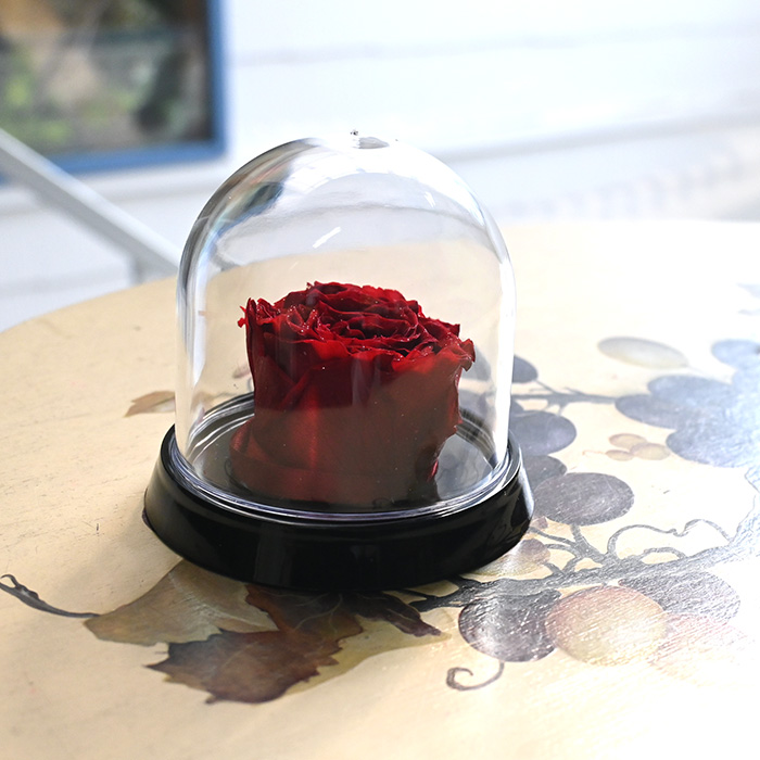 花の保存・花の高さ直系５cm内　1花用プラミニドーム