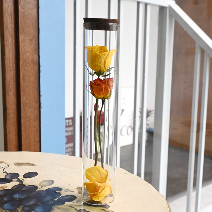 花の保存加工・バラのドライフラワーシリンダー