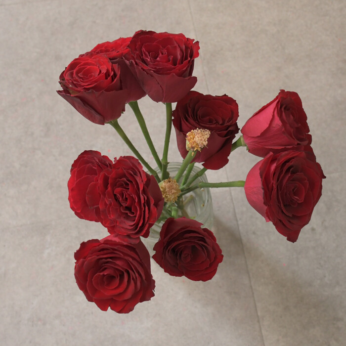 赤バラのプリザーブドフラワー加工