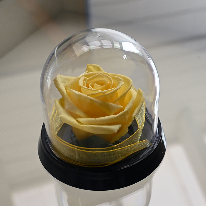 花の保存・花の高さ直径５cm内　1花用プラミニドーム