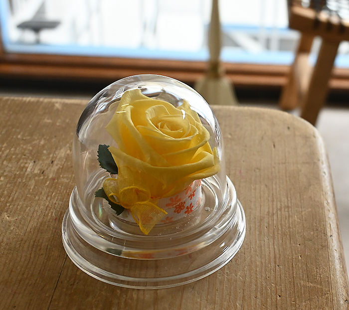 花の保存・1花用プラミニドーム