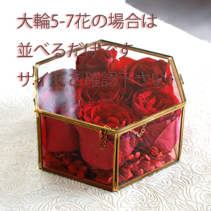 花の保存・6角形ガラスドーム（ヘクサゴン）