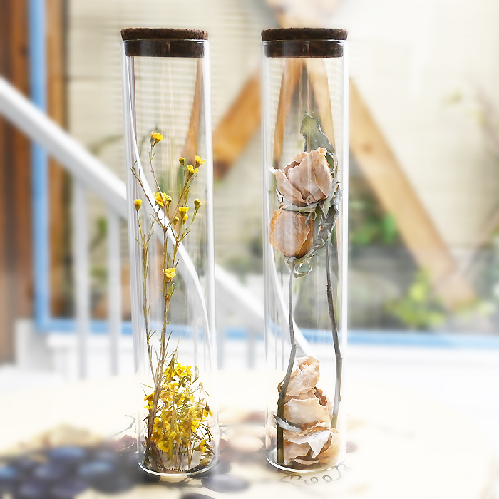 花の保存加工・バラのドライフラワーシリンダー