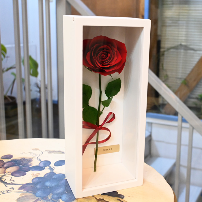 花の保存・ボックスロングホワイト