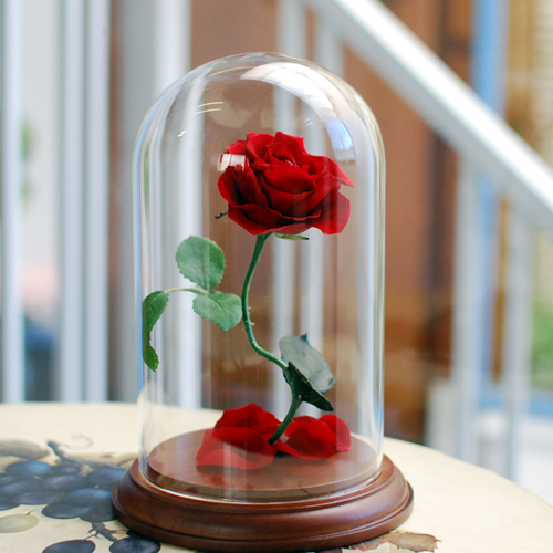 花の保存・美女と野獣風シンプルアレンジ