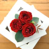 赤バラの花束保存　プリザーブドフラワーへ加工事例112