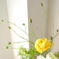 光触媒アートフラワー・黄色のラナンキュラス(造花)H72cm横幅50cm