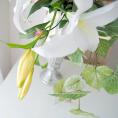 光触媒アートフラワー(造花)・エラガンスカサブランカH60cm横幅60cmD45cm