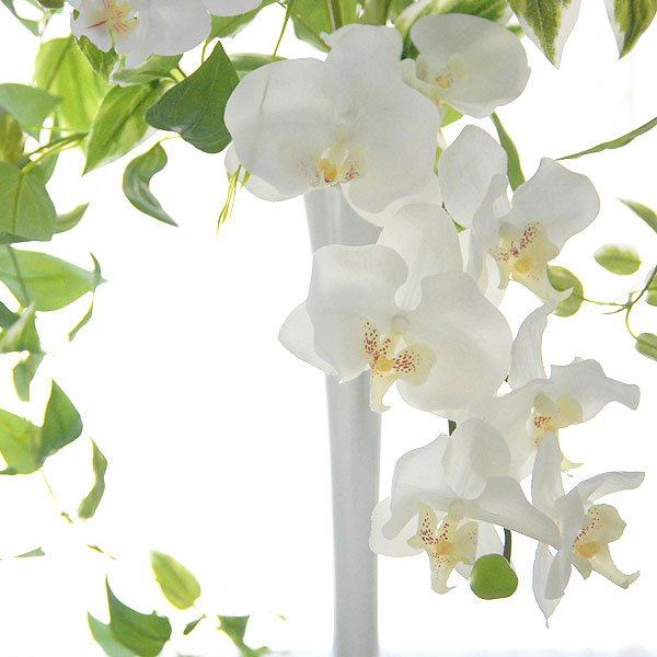 胡蝶蘭-DXL/白紫3F 高さ80cm×巾40cm 造花・光触媒 光触媒の 胡蝶蘭-DXL/白紫3F 高さ80cm×巾40cm 造花・光触媒 光触媒の