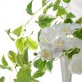 光触媒アートフラワー・ホワイト胡蝶蘭モダンガラスアレンジ(造花)H80cm、最大W約40cm