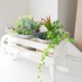 光触媒アートフラワー(造花)・寄せ植グリーン(造花)H25cm×42cm　7020円→5000円