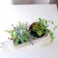 光触媒アートフラワー(造花)・寄せ植グリーン(造花)H25cm×42cm　7020円→5000円