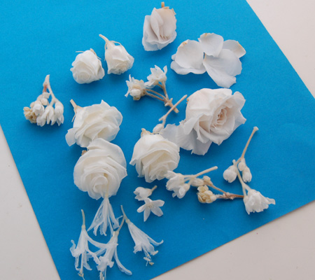 生花の保存でプリザーブドフラワー加工を自分で作る加工液、脱色液と着色液