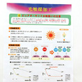 光触媒アートフラワー・5本立ホワイト胡蝶蘭(造花)H72×W50cm送料無料