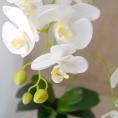 光触媒アートフラワー・ピュアオーキッド2本立てホワイト(胡蝶蘭造花)H63cm横幅30cm